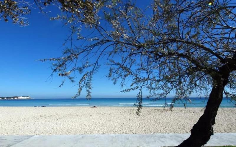 Casa Mandorlo A Mondello Daire Dış mekan fotoğraf